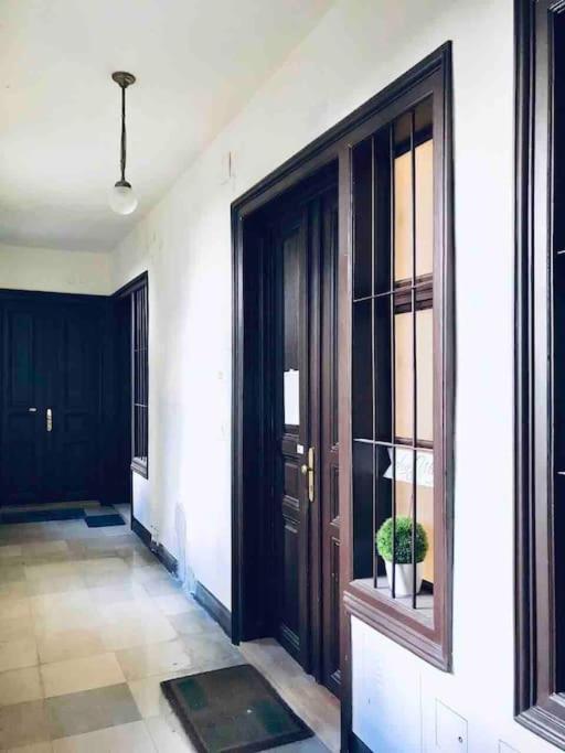 Vienna Luxury New Apartment Center -2. Bezirk المظهر الخارجي الصورة